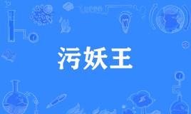 网络上的“污妖王”是什么意思？