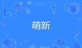 网络上的“萌新”是什么意思？