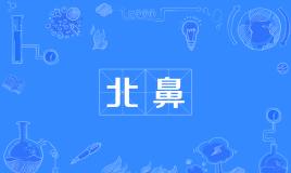 网络上的“北鼻”是什么意思？