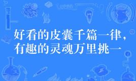 “好看的皮囊千篇一律,有趣的灵魂万里挑一”是什么意思？