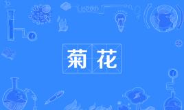 网络上的“菊花”是什么意思？