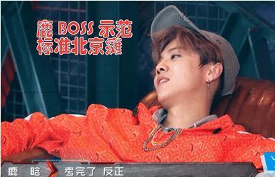 网络上的“北京瘫”是什么意思？