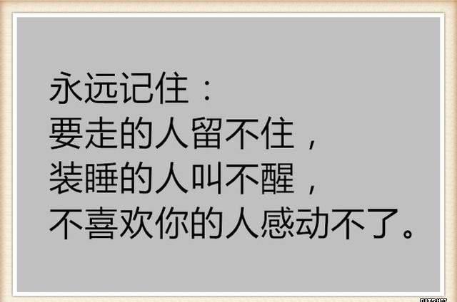 “你永远无法叫醒一个装睡的人”是什么意思？