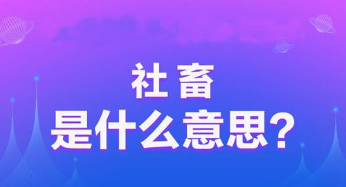 【网络用语】“社畜”是什么意思？