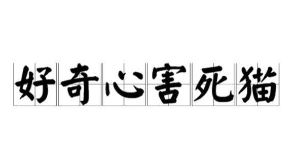 西方谚语好奇害死猫是什么意思？
