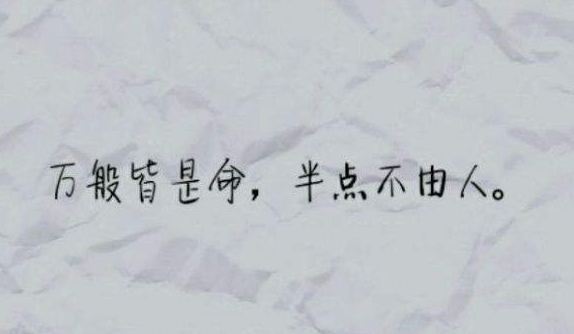 “万般皆是命，半点不由人”是什么意思？