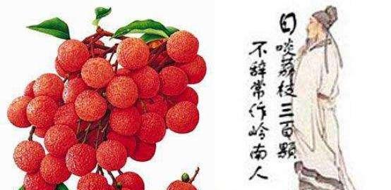 日啖荔枝三百颗,不辞长作岭南人是什么意思？