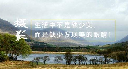 “生活中不是缺少美，而是缺少发现美的眼睛”是什么意思？