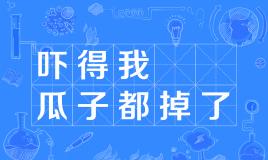 【网络用语】“吓得我瓜子都掉了”是什么意思？