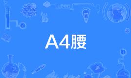 “A4腰”是什么意思？