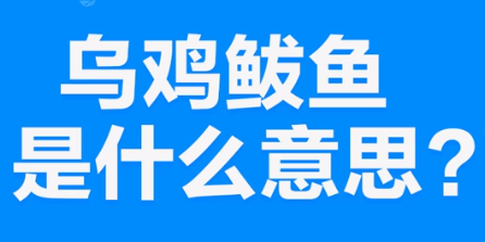 【网络用语】“无极鲅鱼”是什么意思？