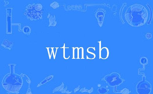 【网络用语】“wtmsb”是什么意思？