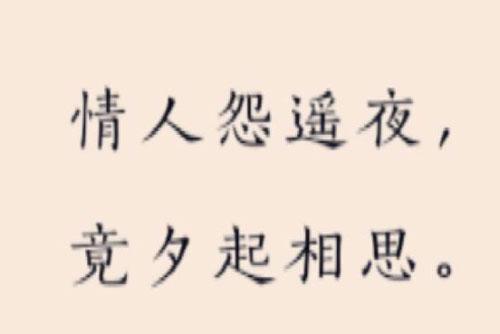 “情人怨遥夜，竟夕起相思”是什么意思？