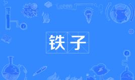 【网络用语】“铁子”是什么意思？