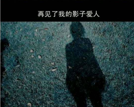 “君在阴兮影不见，君依光兮妾所愿”是什么意思？