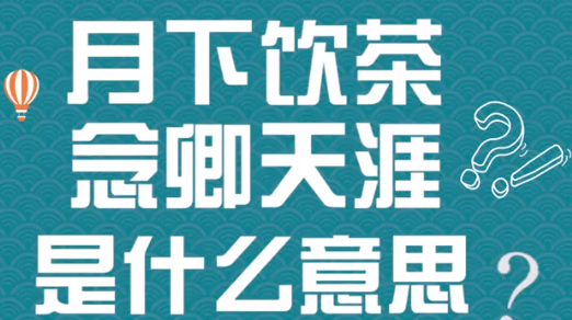 月下饮茶,念卿天涯是什么意思？