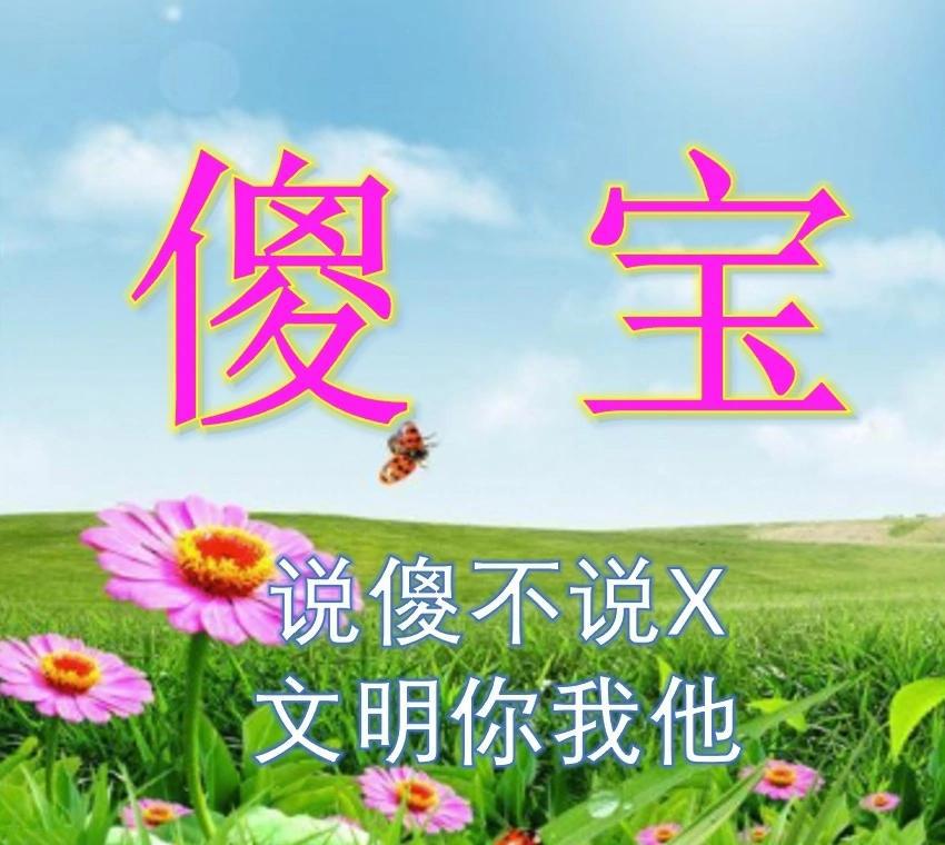 “傻宝”什么梗？贴吧“傻宝”是什么意思？