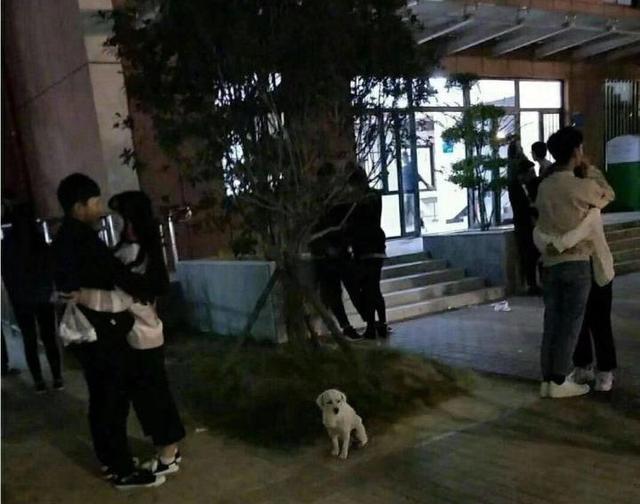 【网络用语】“破防”是什么梗？