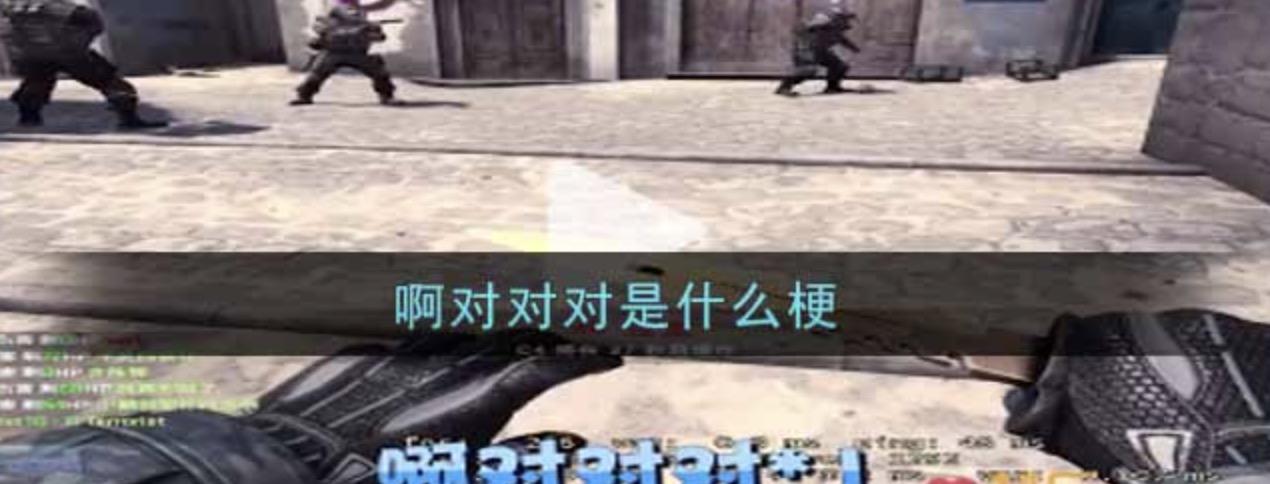 网络热词啊,对对对是什么梗？