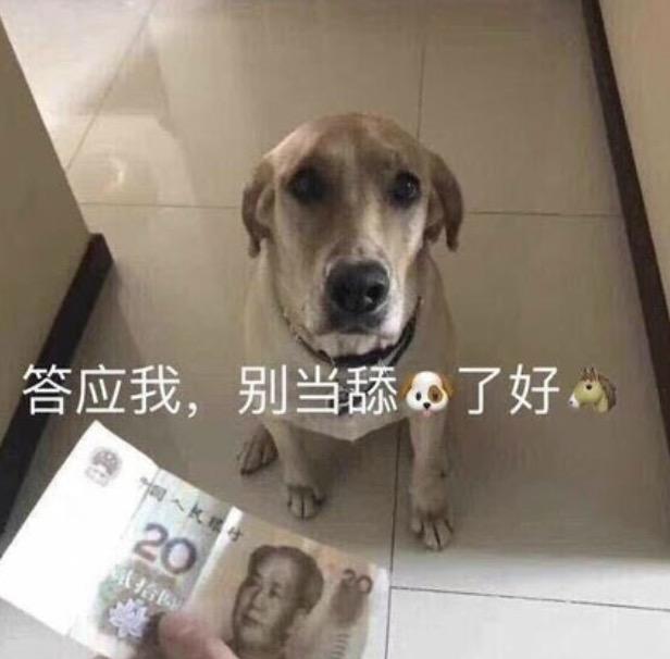 网络热词舔狗是什么意思？舔狗日记是什么梗？