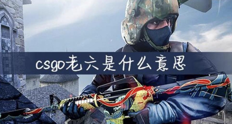 老六是什么意思