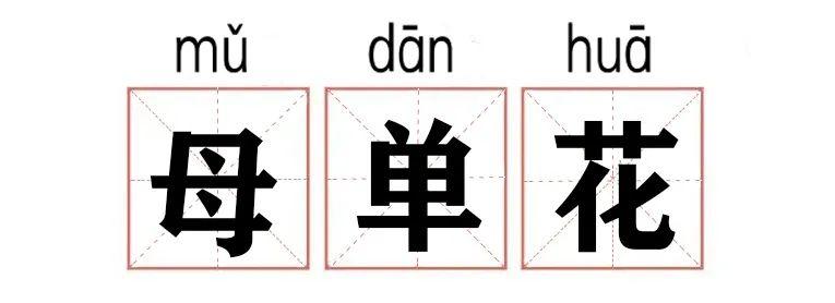 yyds,xswl,好家伙!年轻人都在说什么???