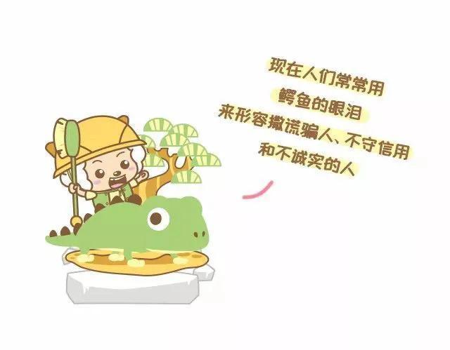 鳄鱼的眼泪