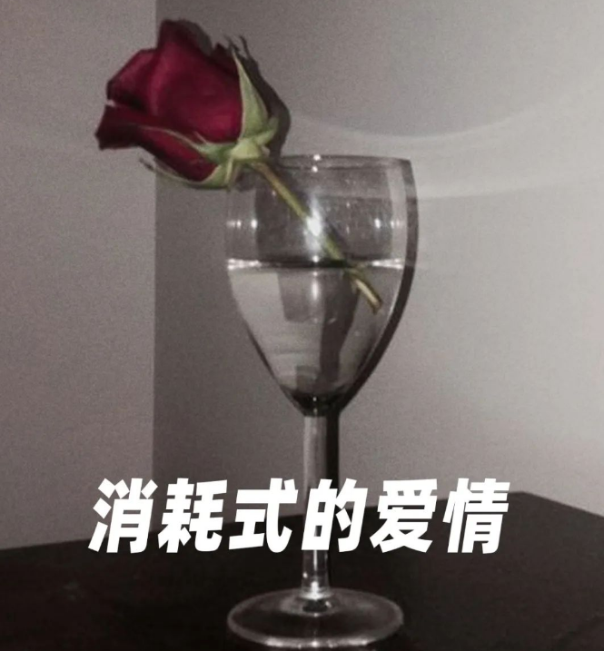 热暴力什么意思（热暴力有用吗）