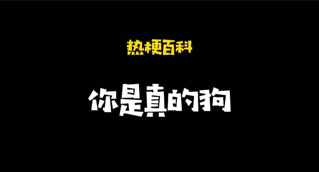 「热梗百科」“你是真的狗”什么梗？