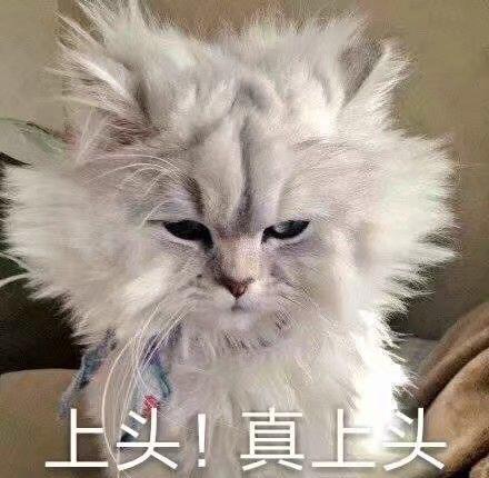 网络用语上头是什么意思？