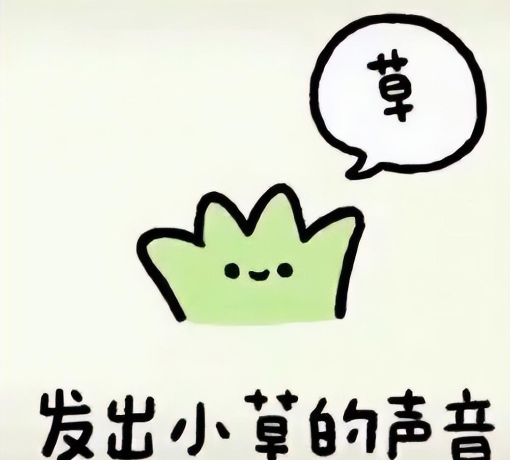 网络用语典中典什么梗？