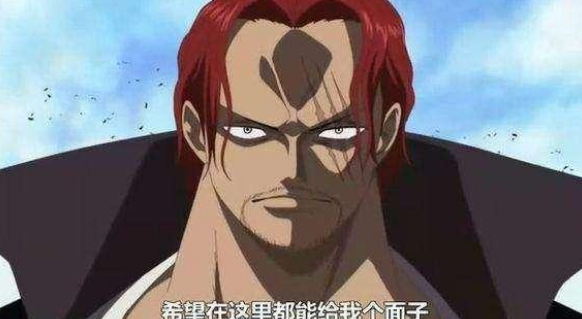 面子果实是什么意思？
