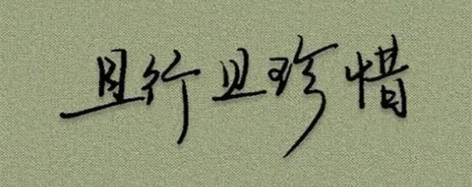 且行且珍惜是什么意思?