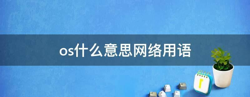 网络用语os是什么意思？