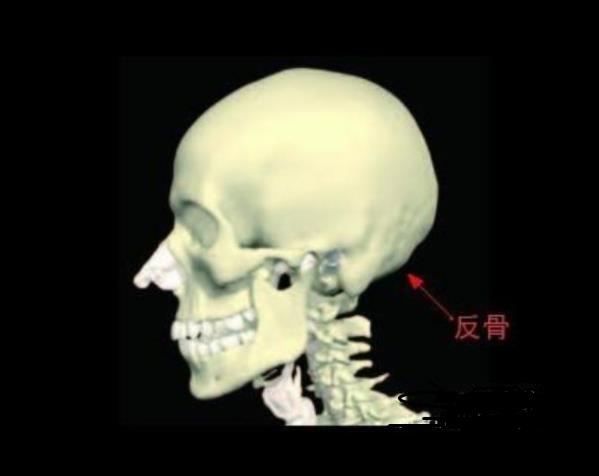 网络用语反骨什么意思？