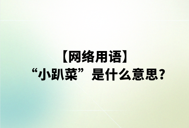 小趴菜是什么意思?网络用语