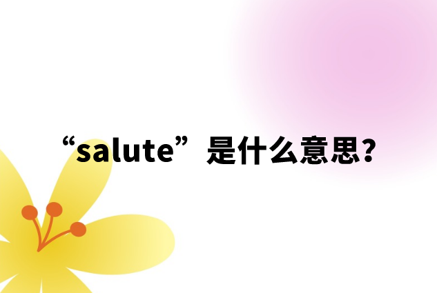 网络用语salute是什么意思？