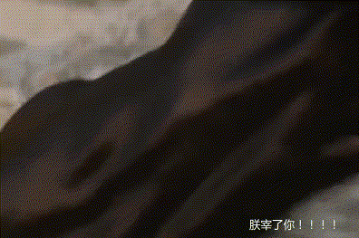 朕宰了你是什么梗（朕宰了你出处）