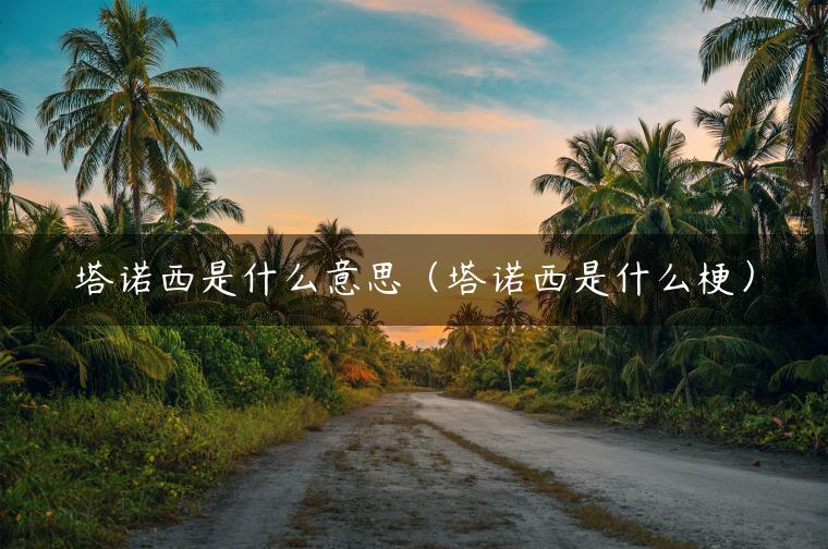 塔诺西是什么意思（塔诺西是什么梗）