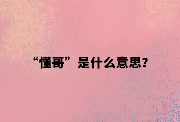 网络用语懂哥是什么意思？