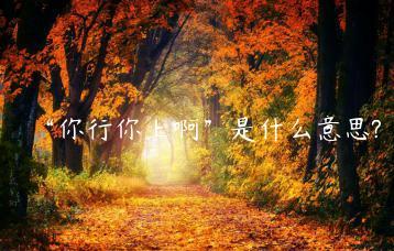 你行你上啊是什么意思?