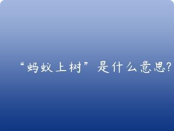 蚂蚁上树是什么意思?