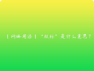 网络用语双标是什么意思？