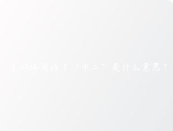 网络用语中二是什么意思？