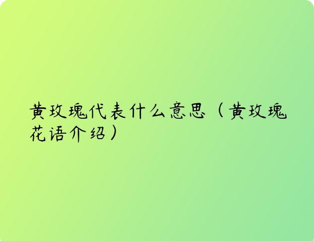 黄玫瑰代表什么意思（黄玫瑰花语介绍）