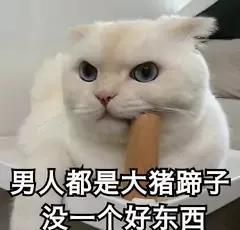 大猪蹄子是什么意思？出自哪里？