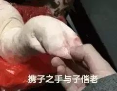 大猪蹄子是什么意思？出自哪里？