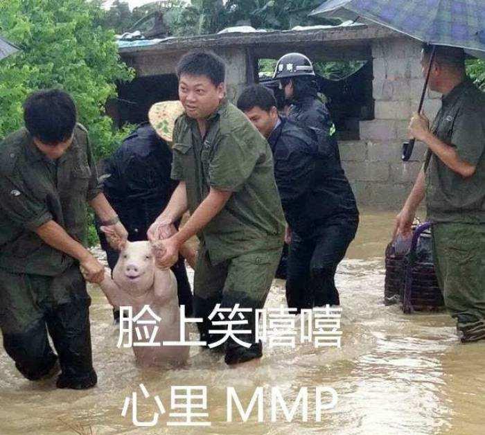 “脸上笑嘻嘻心里mmp”是什么梗？