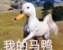 “冲鸭”是什么意思？