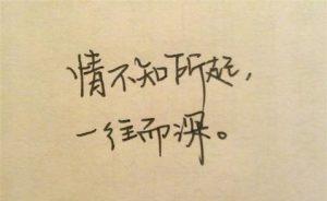 “情不知所起，一往情深”是什么意思？
